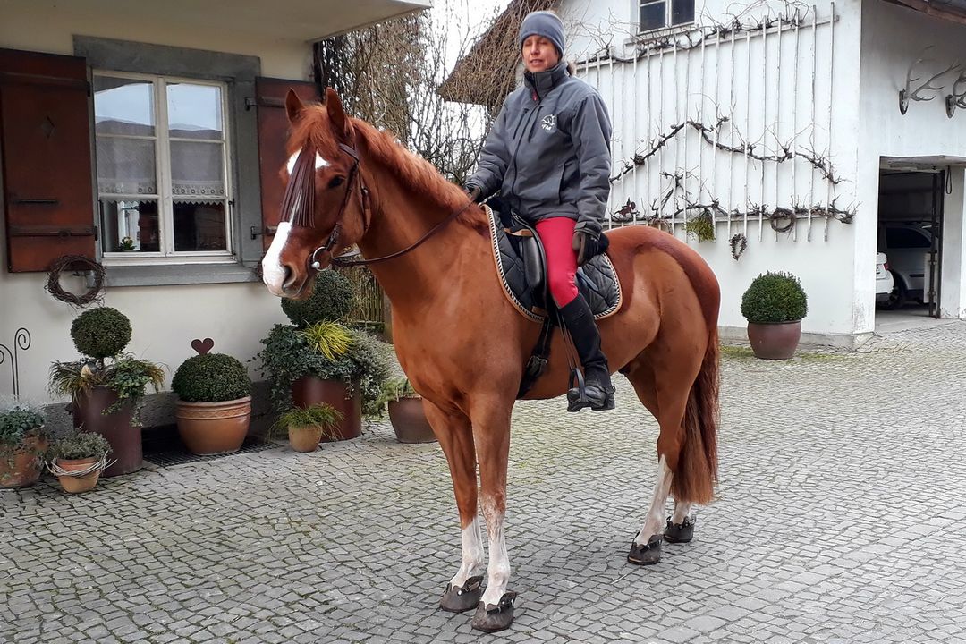 Tierärtzin Helene Matter auf Freiberger Wallach mit Swiss Horse Boots