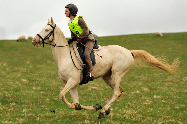 Die bekannte Distanzreiterin Maria Marquise Baverstock … immer mit SWISS HORSE BOOTS unterwegs